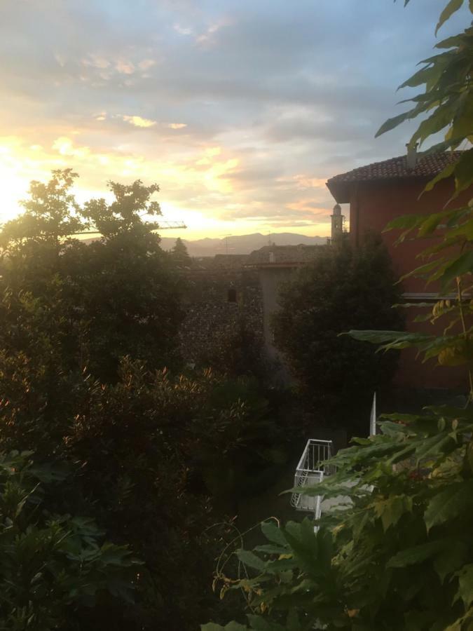 Queen Room Garden View